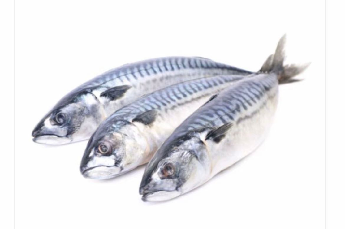 Frozen Fish
